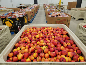 No Waste. No Hunger. One Bottle = One Meal.